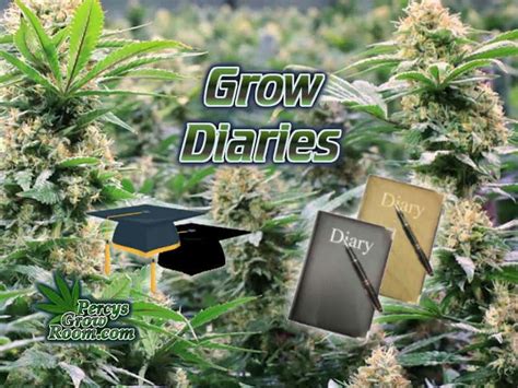 growdiaries|grow diaries cannabis.